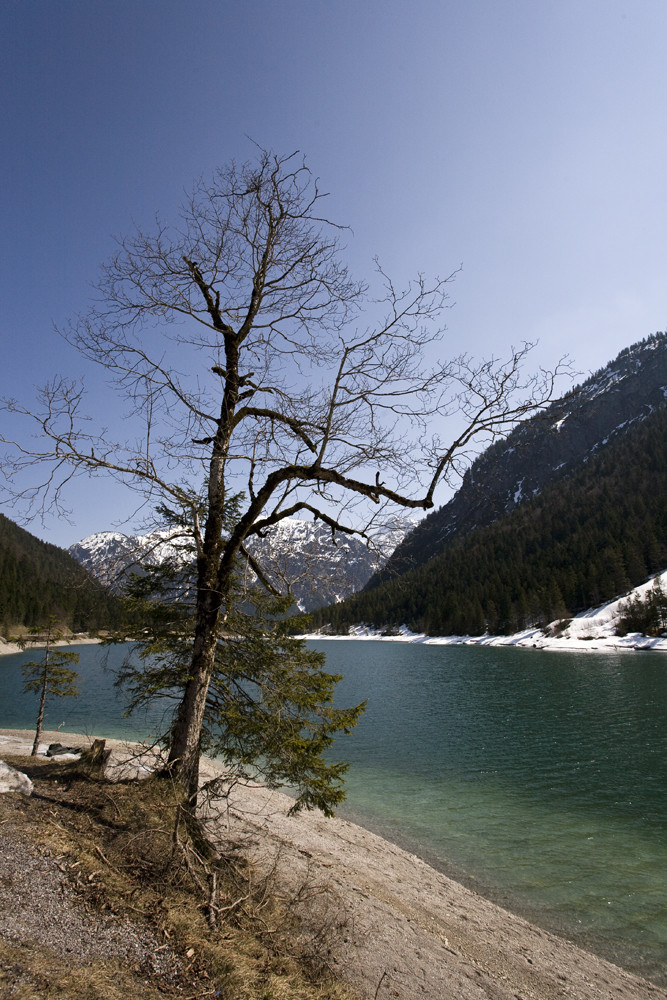 Alpen Frühling