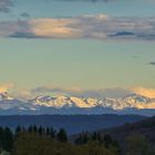 Alpen-Gruß im Hegau