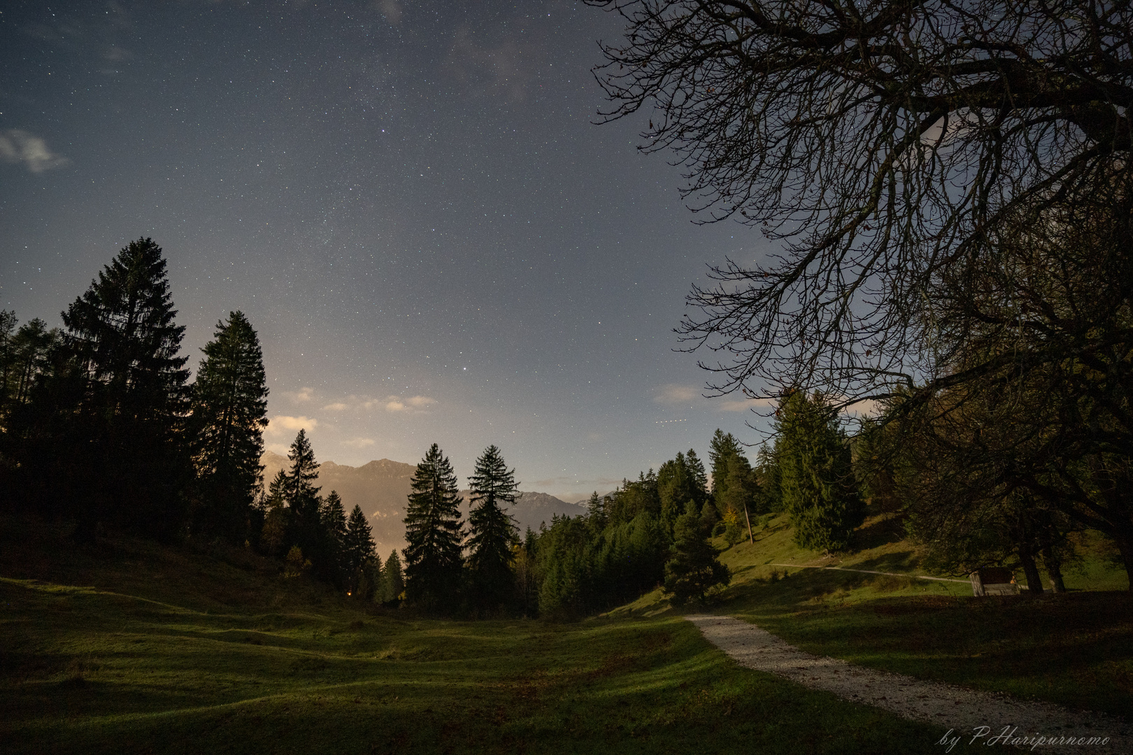 Alpen im Mondlicht