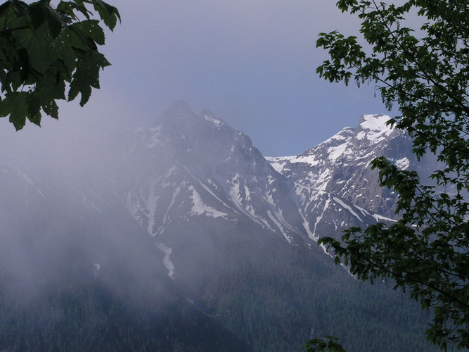 Alpen in Sweiss im Nebel, in die nahe von Sent