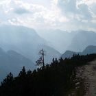 Alpen Landschaft-3