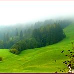 Alpen Landschaft