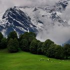 Alpen - Österreich - Maria Alm