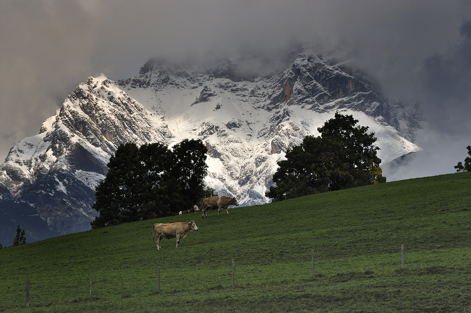 Alpen - Österreich - MariaAlm