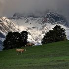 Alpen - Österreich - MariaAlm