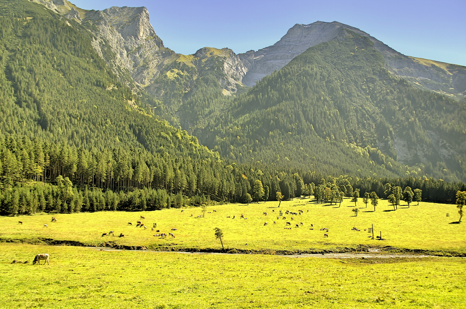 Alpen-Prärie