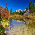 Alpen Teich