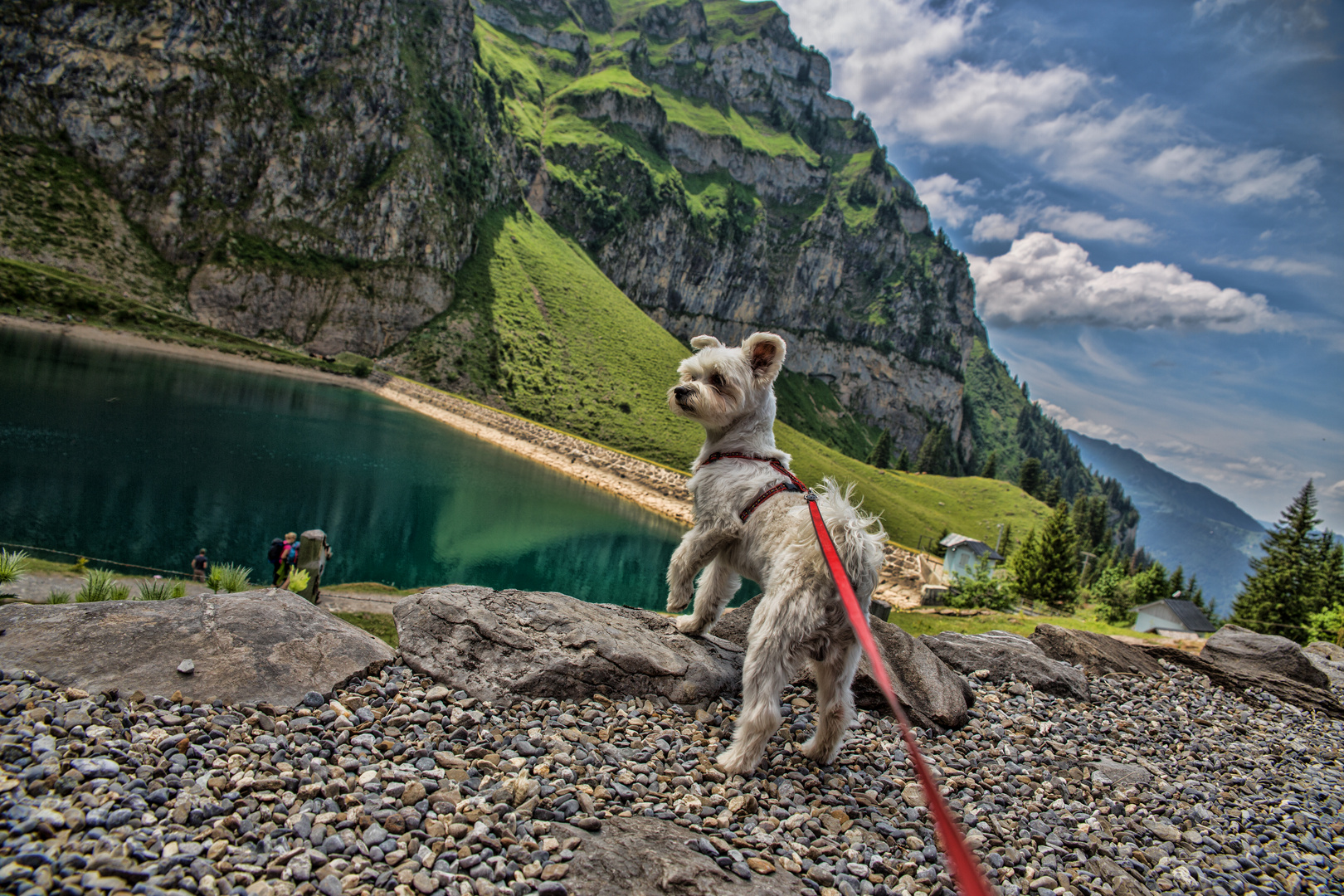 Alpen und See Blick (HDR)