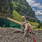 Alpen und See Blick (HDR)