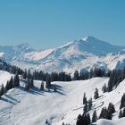  Alpen vom Kreuzkogel aus  Westwärts