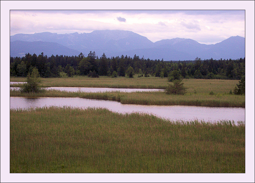 Alpen von Seeshaupt am Starnberger See aus gesehen