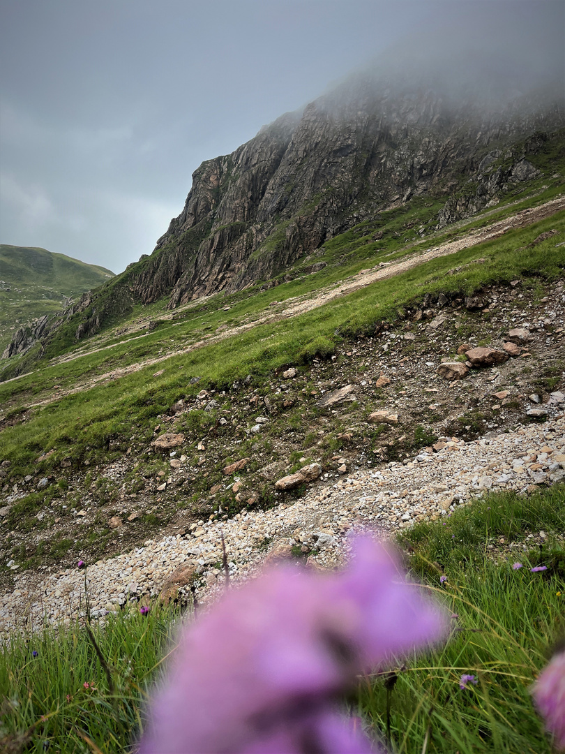 Alpenaugenblick