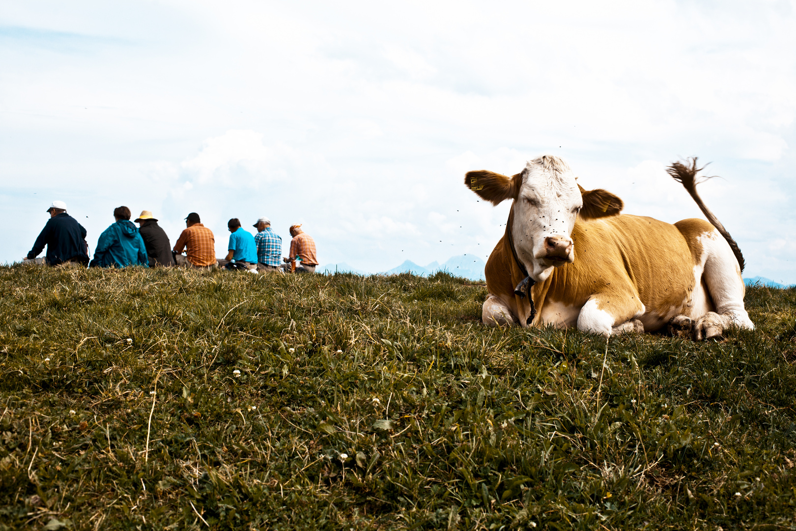 alpenauszeit