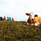 alpenauszeit