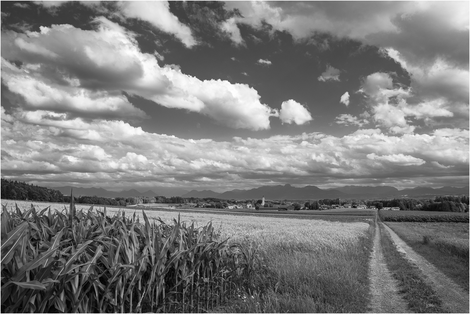 Alpenblick