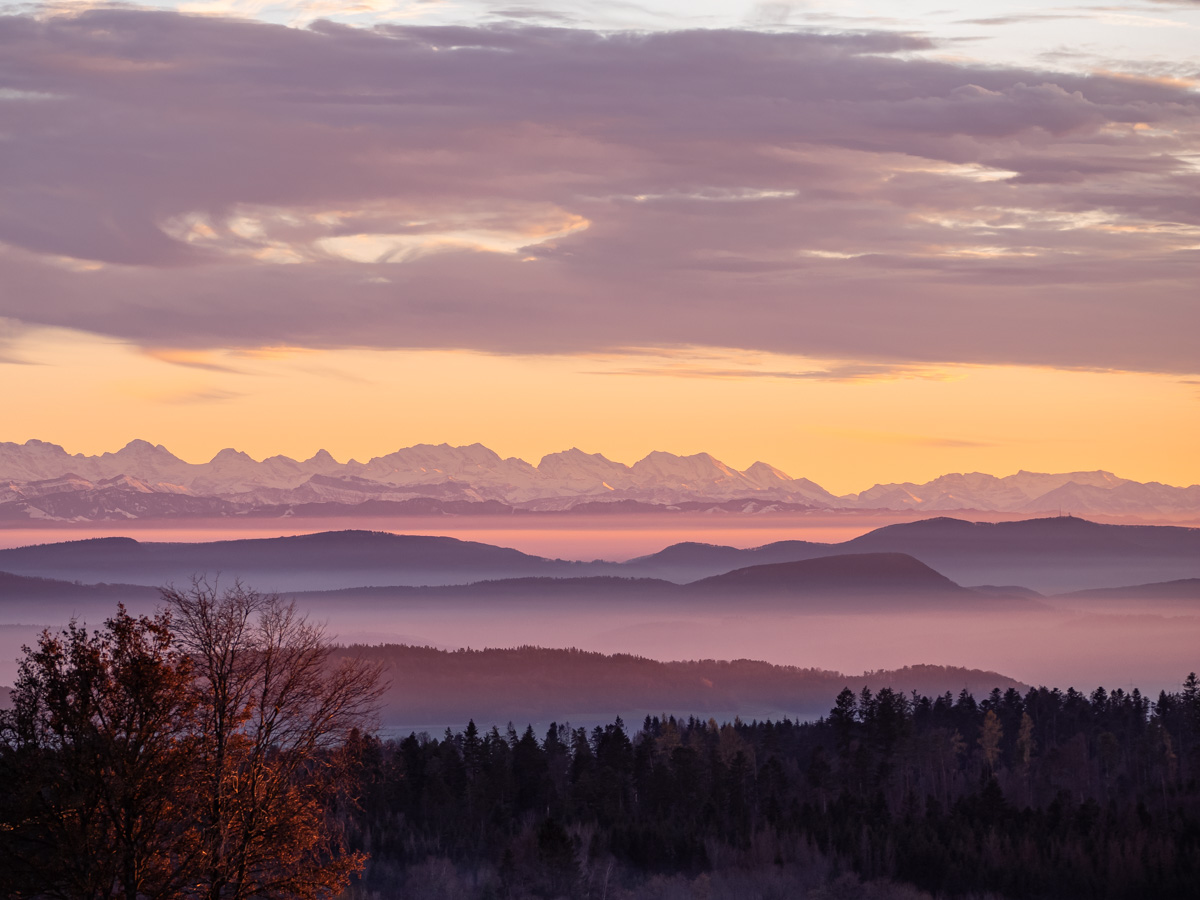 Alpenblick