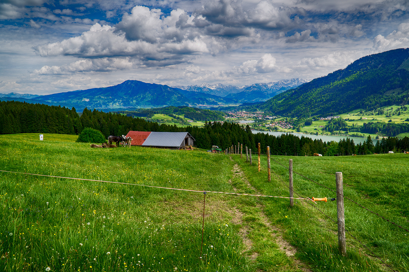 " Alpenblick "