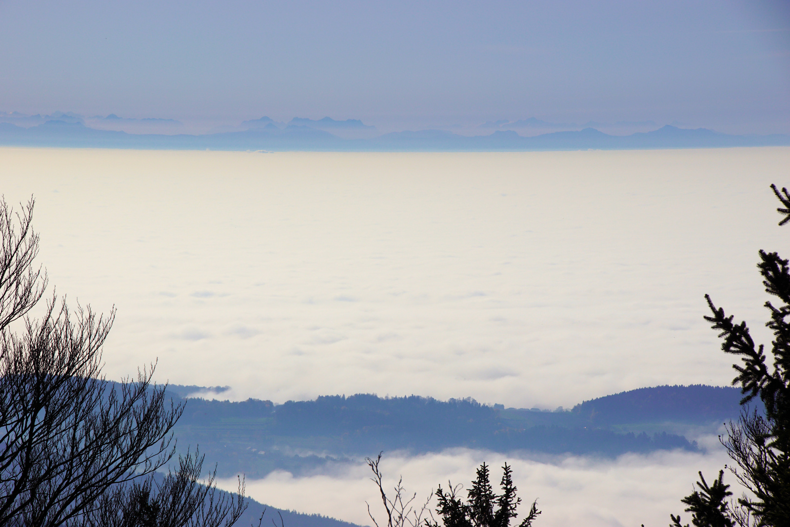 Alpenblick