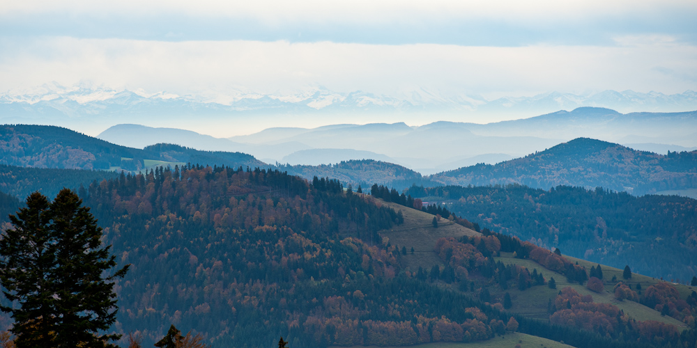 Alpenblick