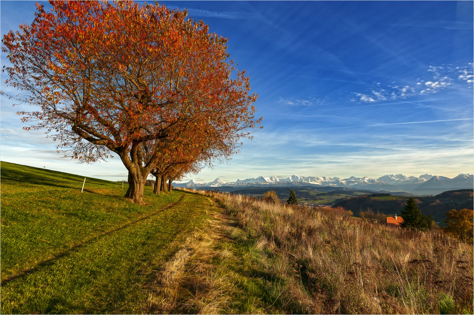 Alpenblick 