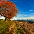 Alpenblick 