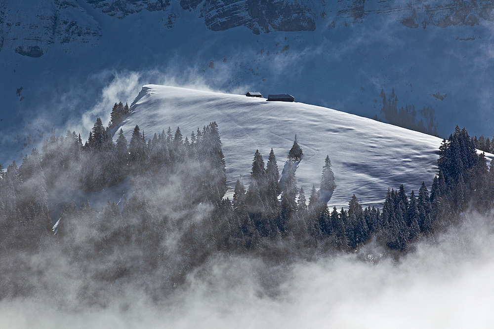 Alpenblick