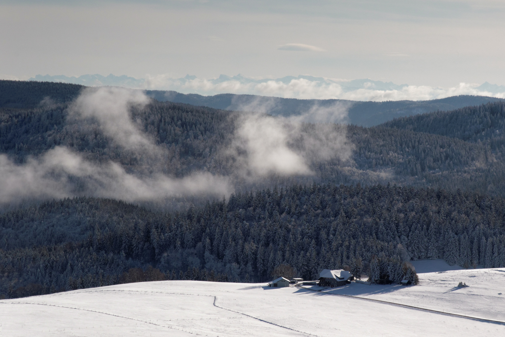 Alpenblick