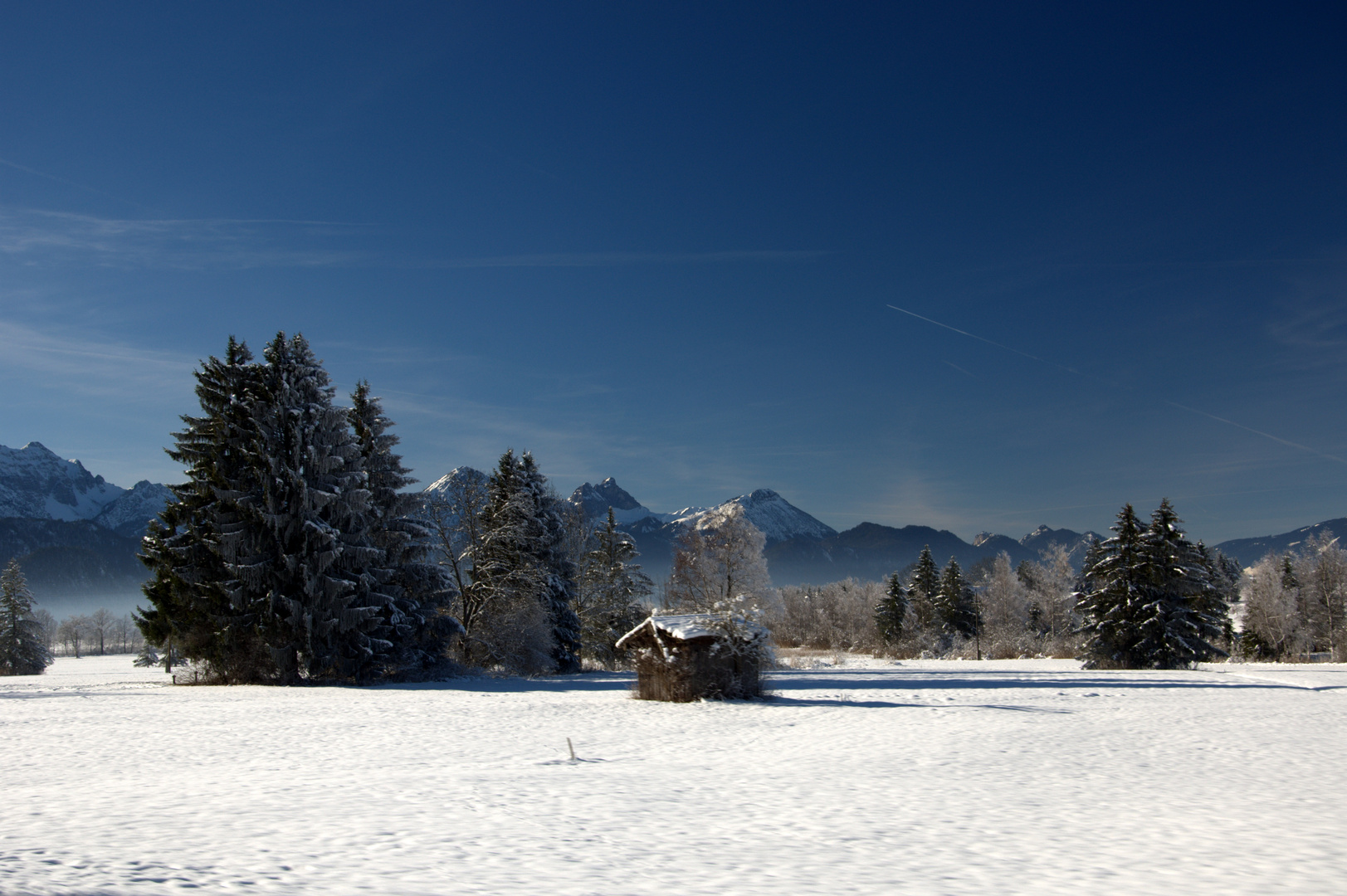 Alpenblick