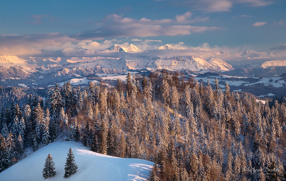 Alpenblick