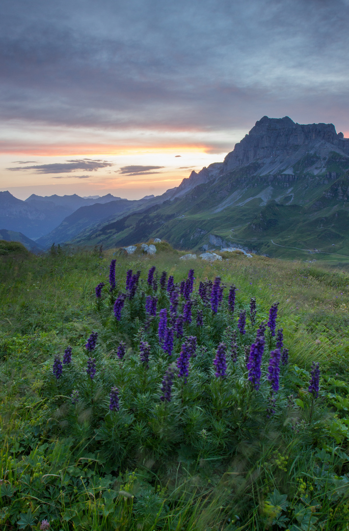 Alpenblick