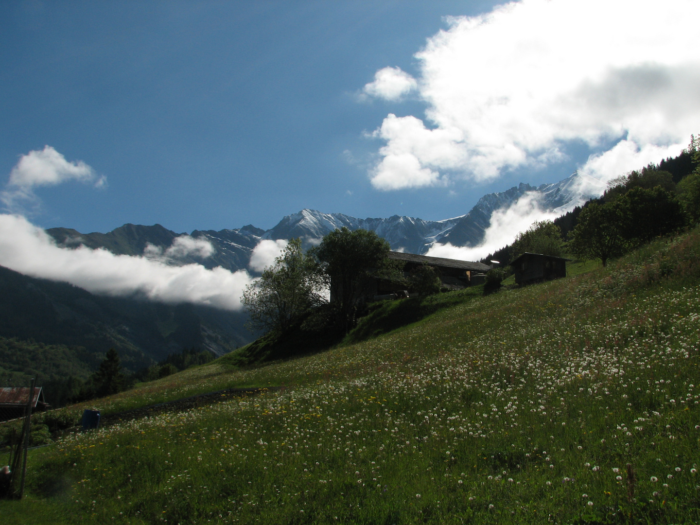 Alpenblick