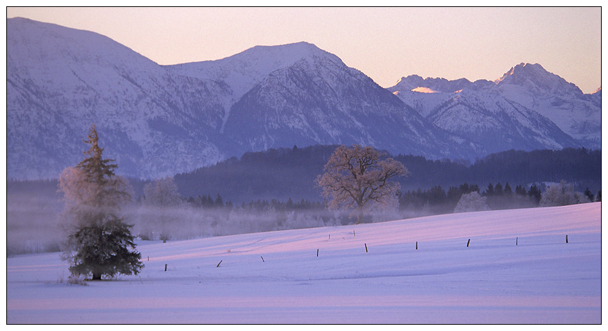 Alpenblick