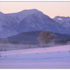 Alpenblick