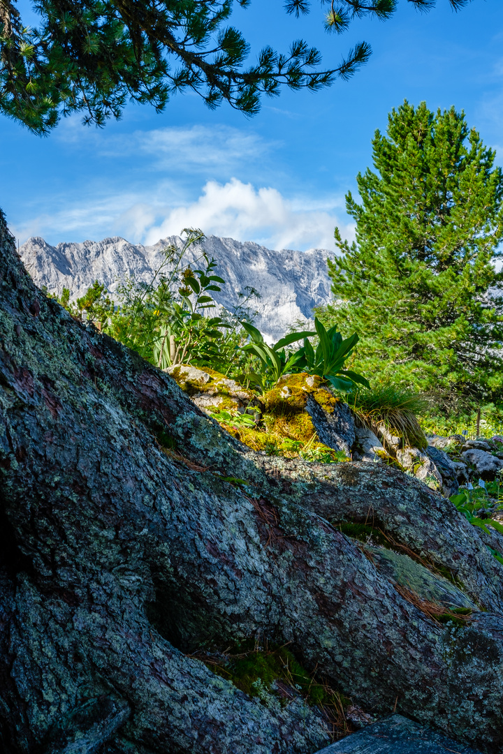 Alpenblick