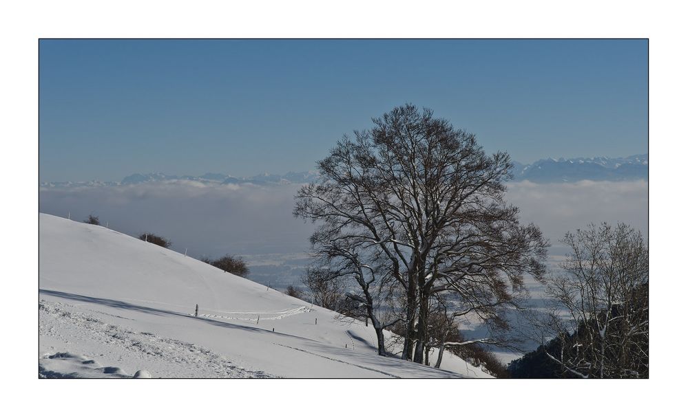 Alpenblick