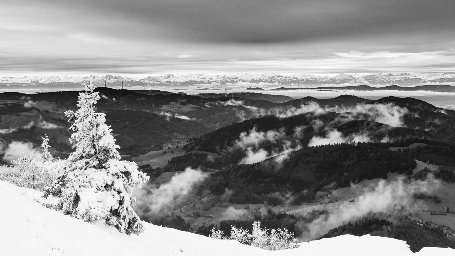 Alpenblick