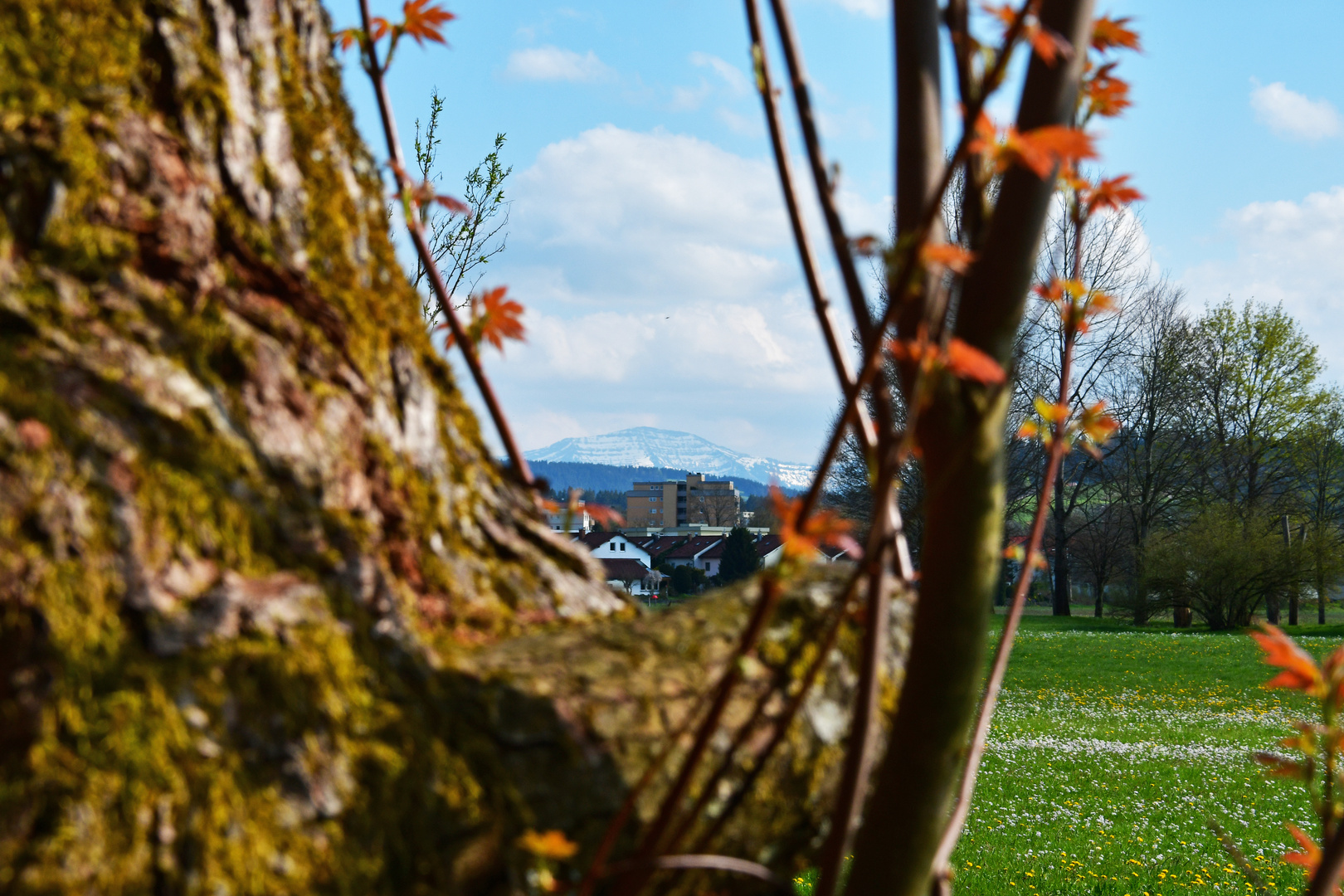 Alpenblick