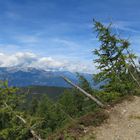 Alpenblick