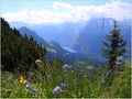 Alpenblick von Melanies Fotos 