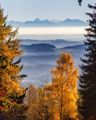 Alpenblick