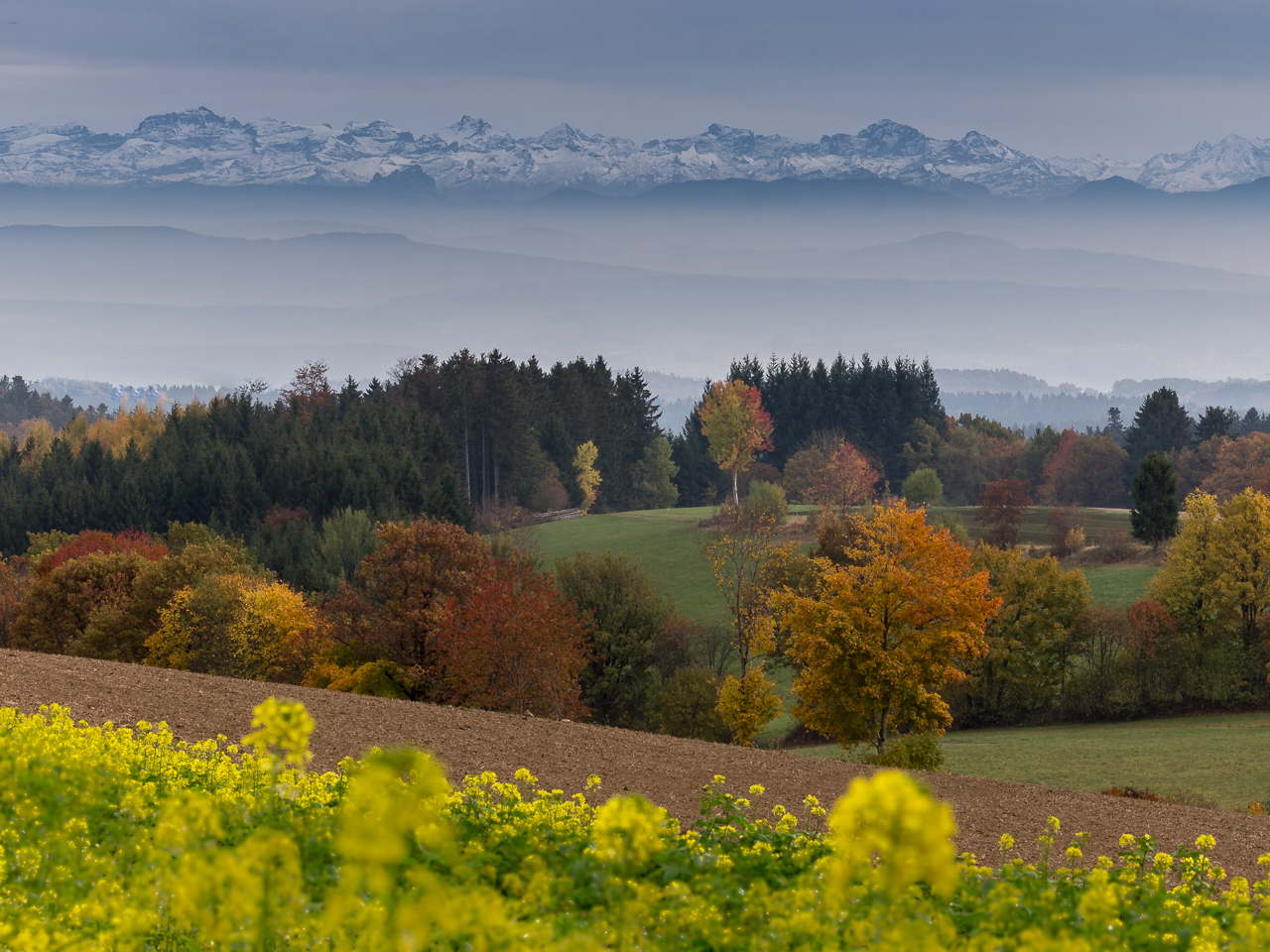 Alpenblick