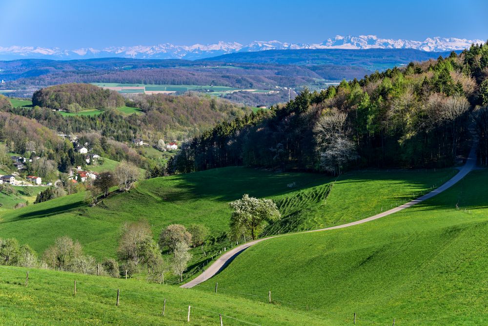 Alpenblick