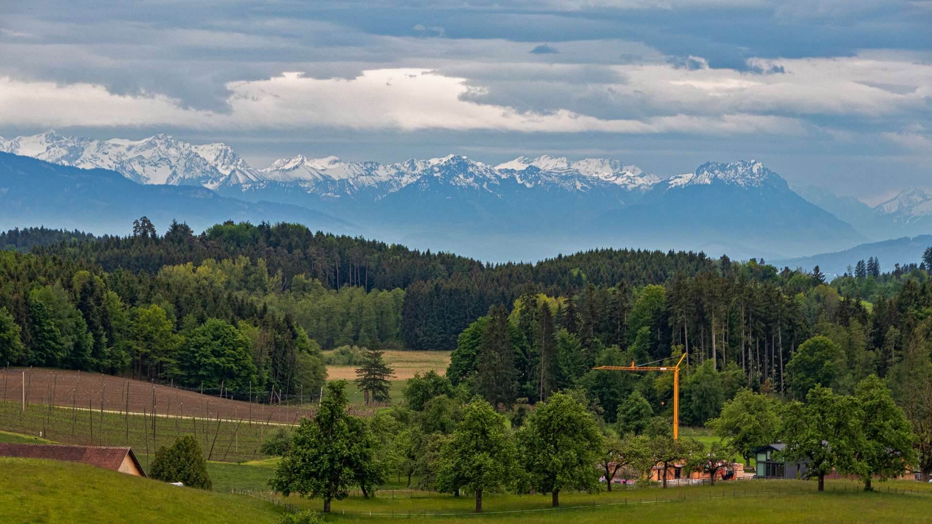 Alpenblick