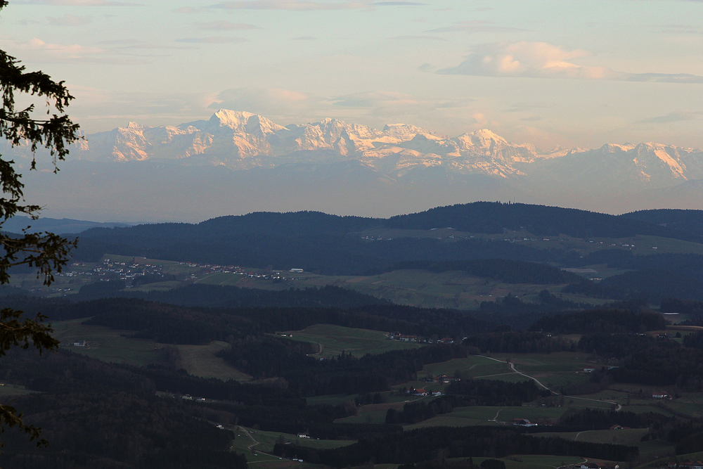 Alpenblick