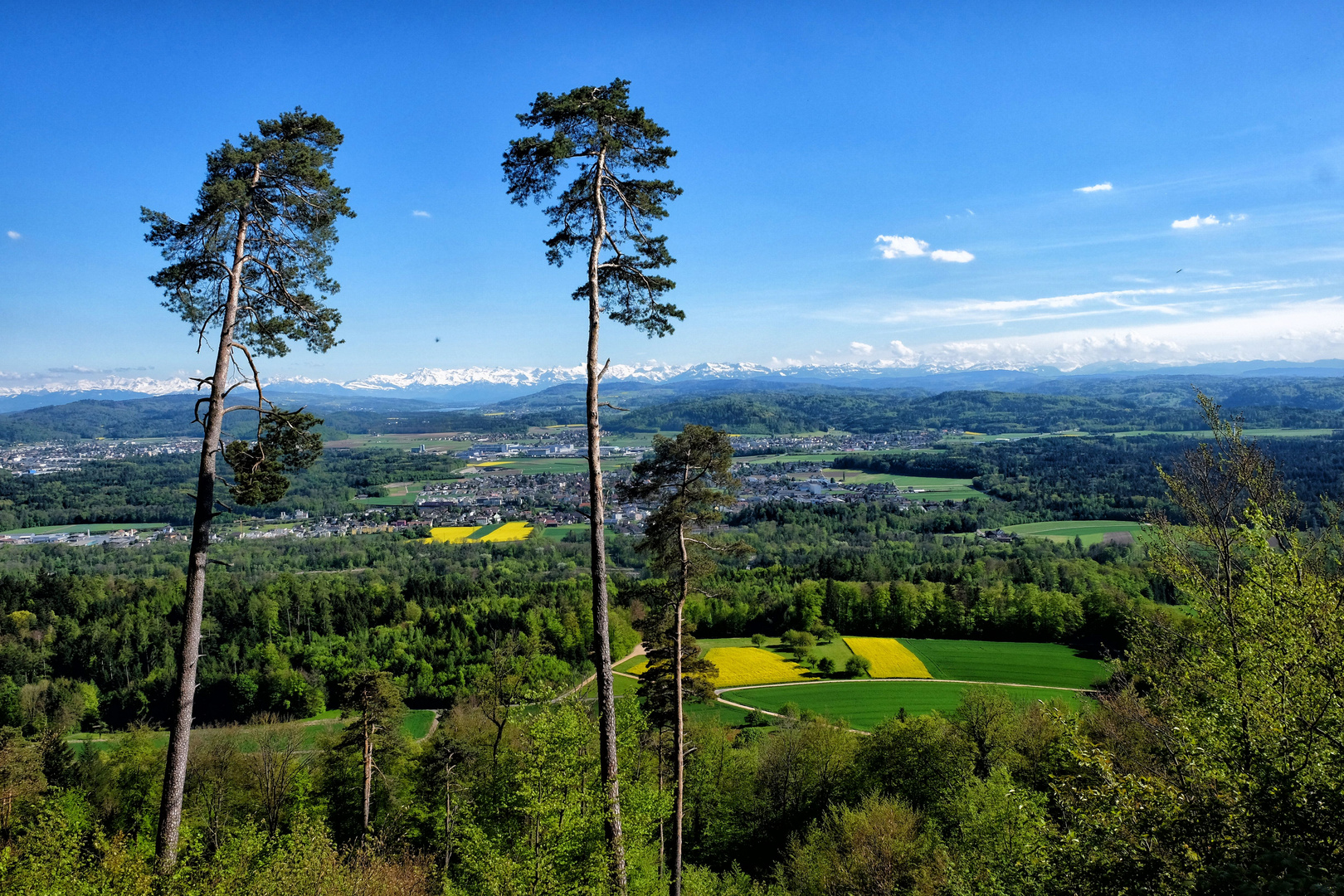 Alpenblick