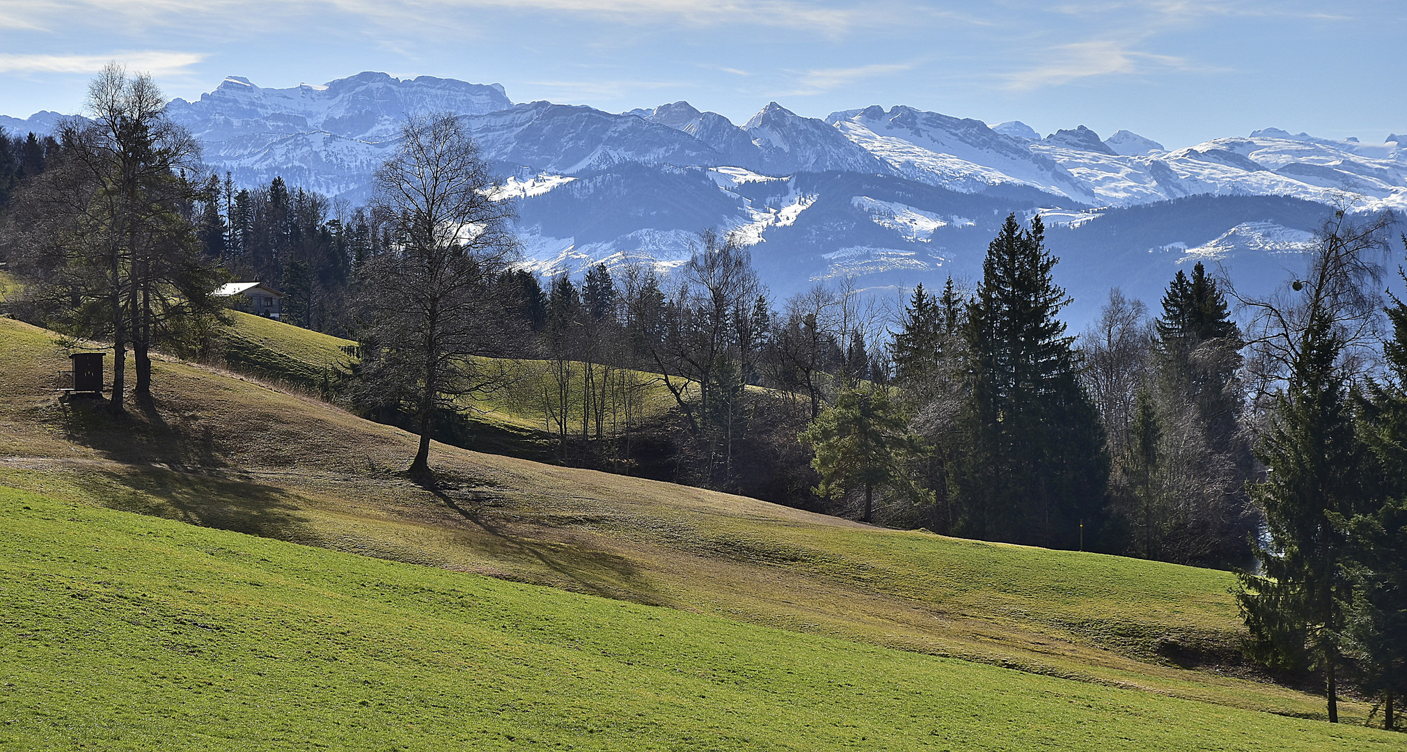 Alpenblick