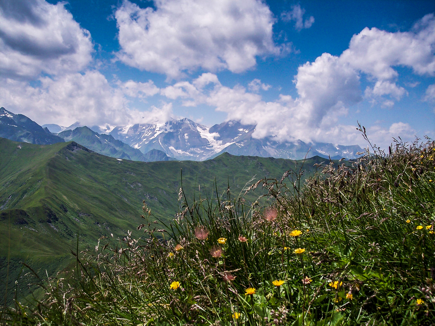 Alpenblick