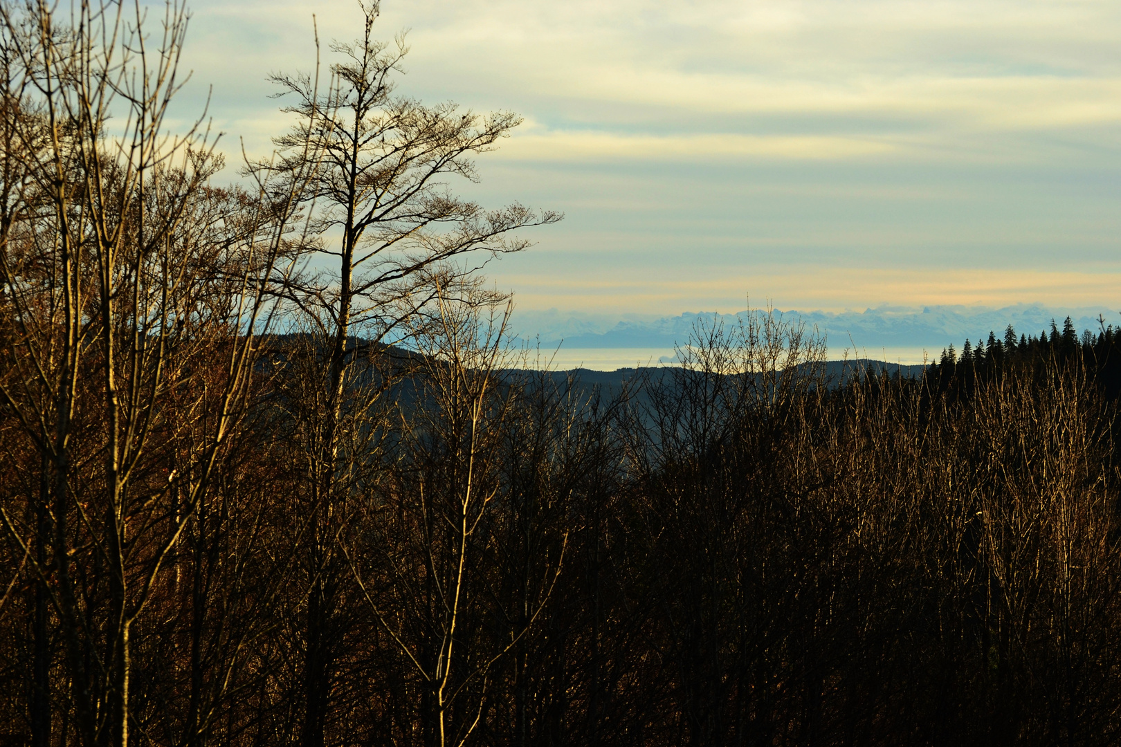 Alpenblick