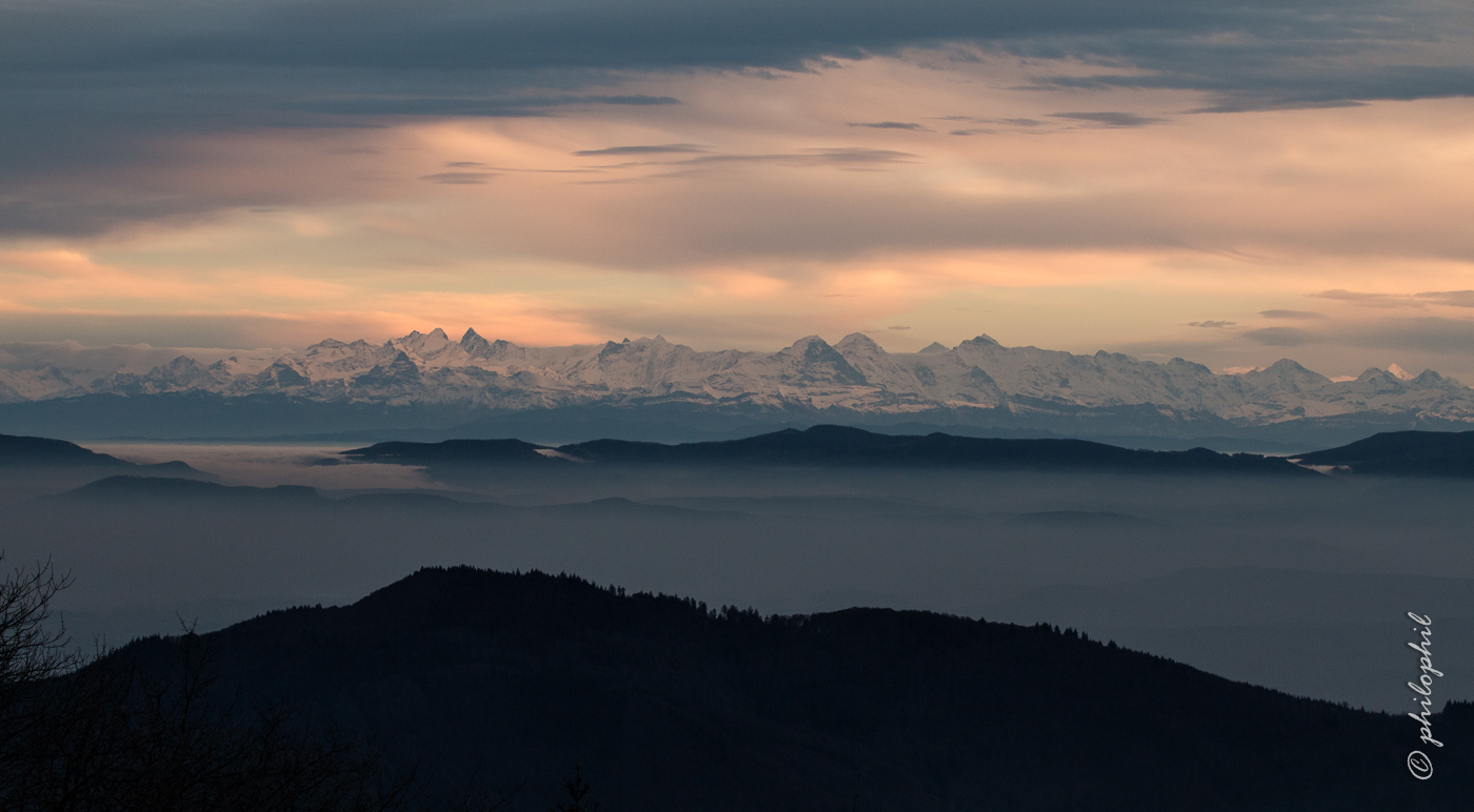 Alpenblick Schwarzwald > Jura > Schweizer Alpen