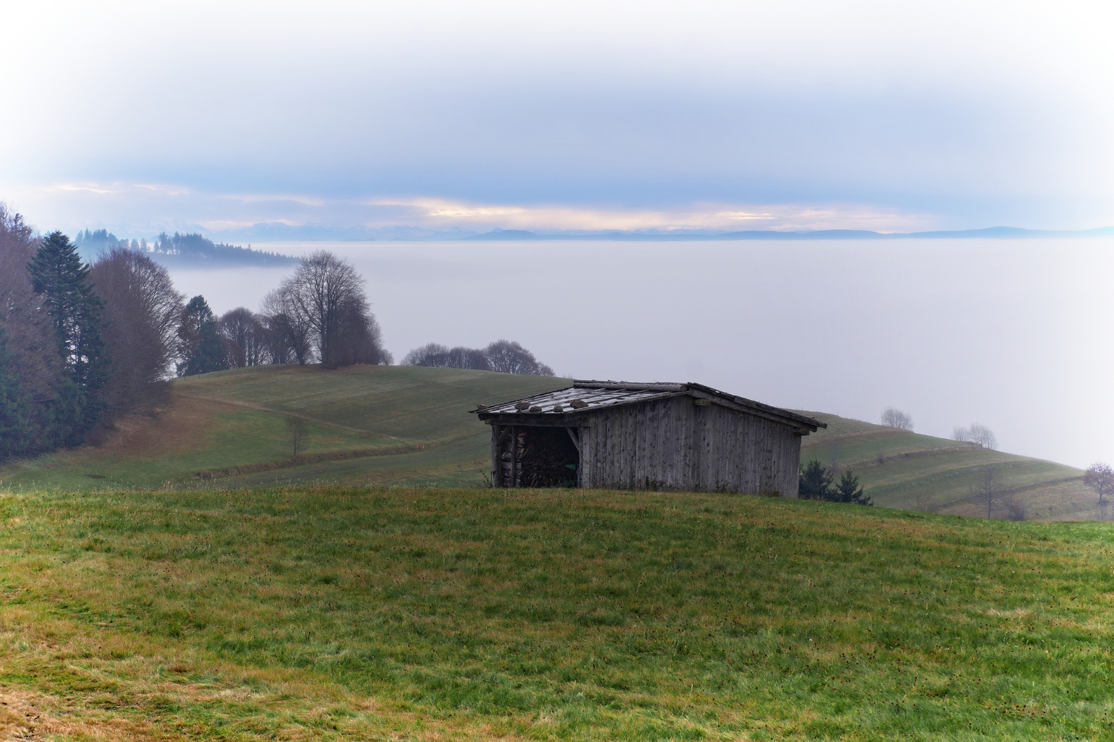 Alpenblick über das Nebelmeer